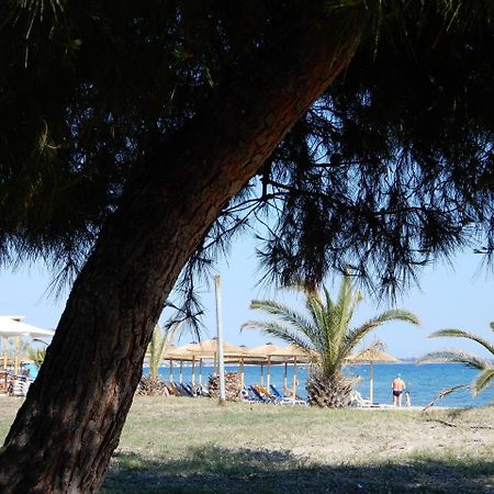 Sunshine Apartment Paralia Dionysiou Luaran gambar