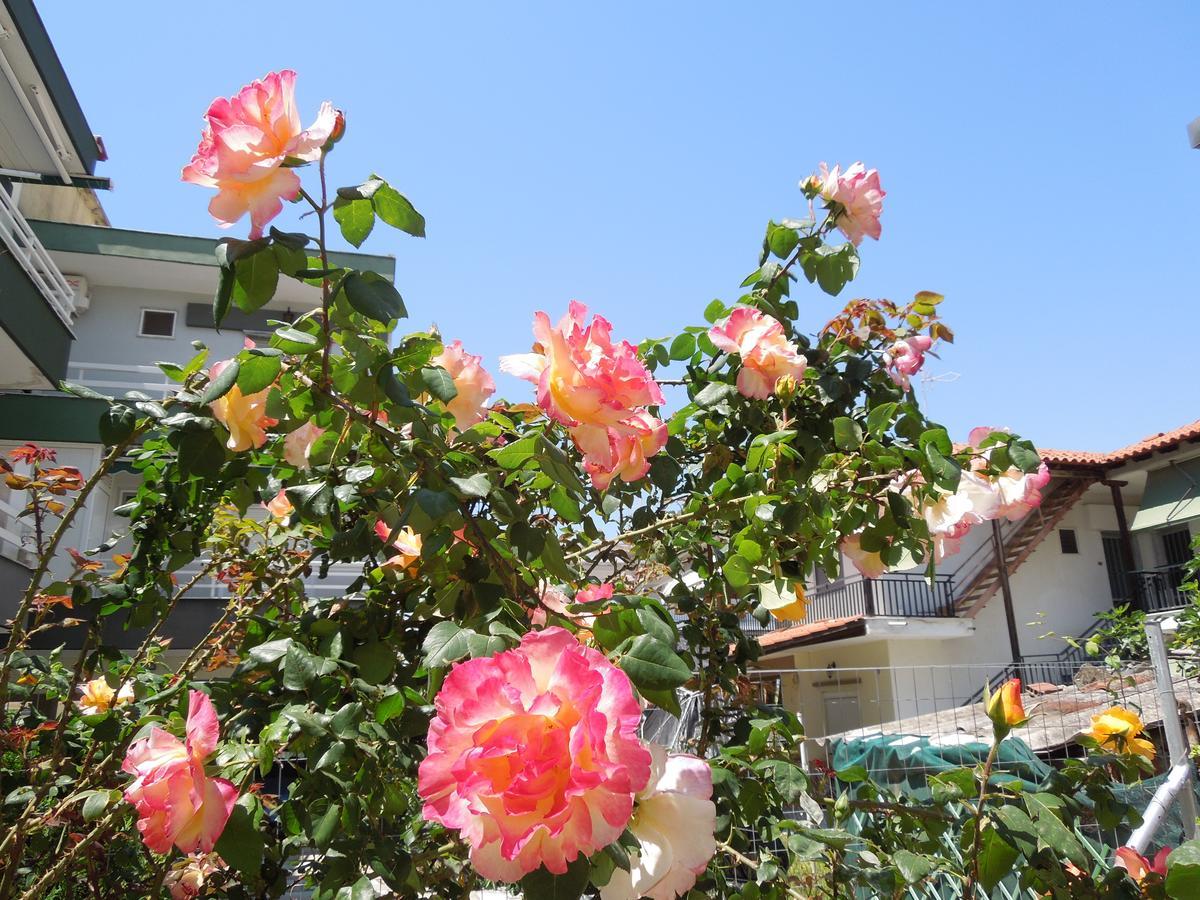 Sunshine Apartment Paralia Dionysiou Luaran gambar